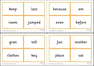 100 High Frequency Word Flash Cards