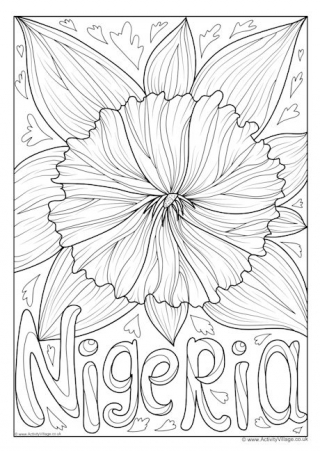 Nigeria National Flower Colouring Page