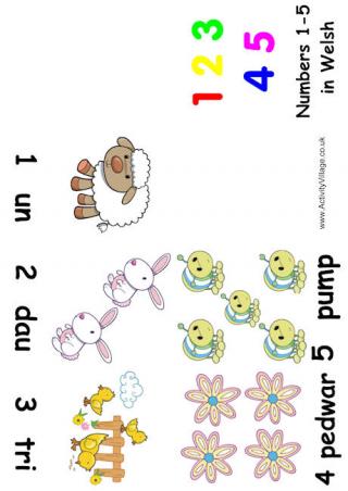 Numbers 1-5 Booklet Welsh