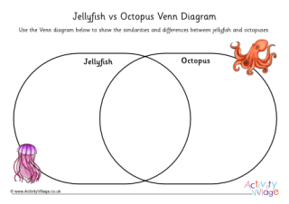 Octopus vs Jellyfish Venn Diagram 