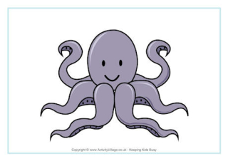Octopus Poster