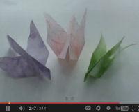 Origami Dove
