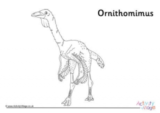 Ornithomimus Colouring Page