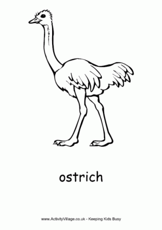 Ostrich Pictures To Color Ostrich Activities for Kids