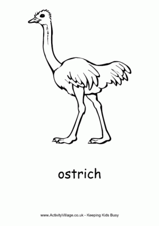 Ostrich Colouring Page
