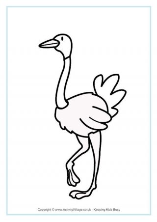Ostrich Colouring Page 2