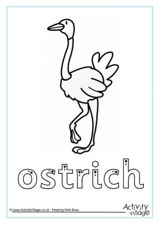 Ostrich Finger Tracing