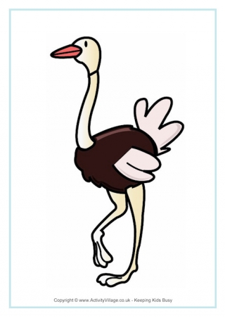 Ostrich Poster