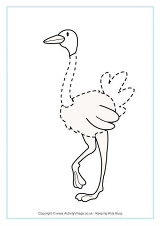 Ostrich Tracing Page
