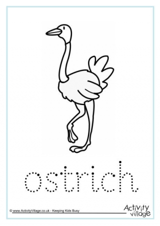 Ostrich Word Tracing