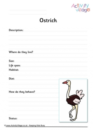 Ostrich Worksheet