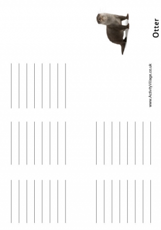 Otter Booklet