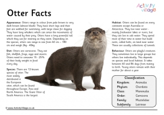 Otter Fact Poster