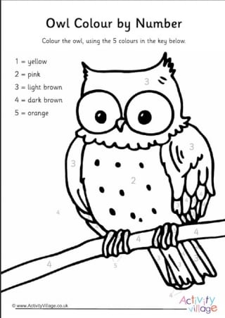 Bird Colour by Number Pages for Kids