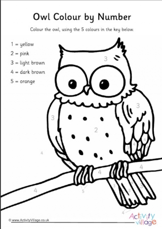 Owl colour by number
