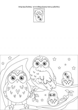 Owl Colouring Card