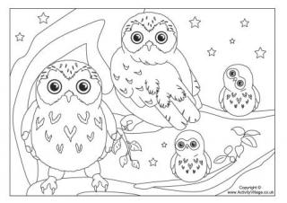 Owl colouring page 3