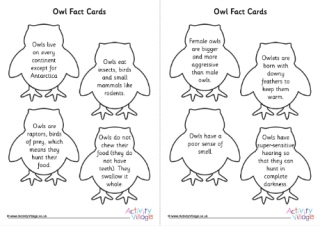 Owl Fact Shape Cards
