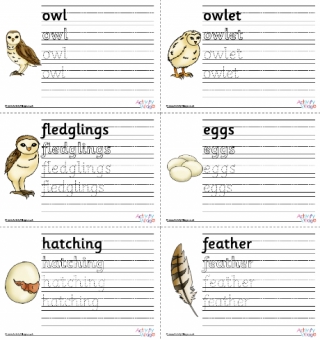 Owl Life Cycle Handwriting Worksheets