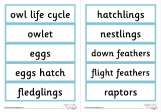 Owl Word Cards