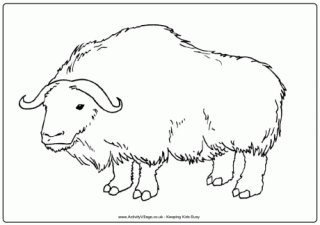 Ox colouring page 3