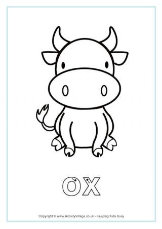 Download Ox Colouring Pages