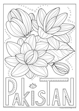 Pakistan National Flower Colouring Page