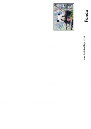 Panda Booklet