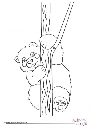 Panda Colouring Page 2