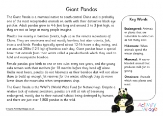 Panda Fact Sheet 