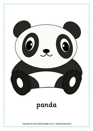 Panda Poster - English