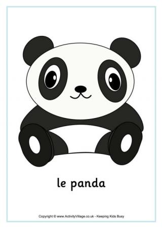Panda Poster - French