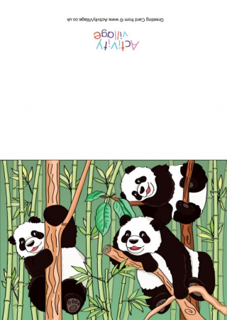 Pandas Scene Card