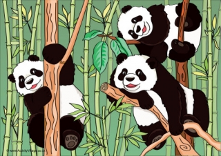 Pandas Scene Poster