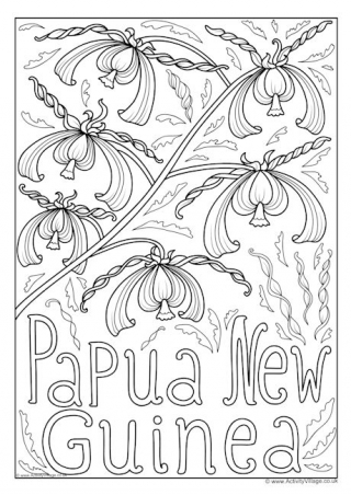 Papua New Guinea National Flower Colouring Page