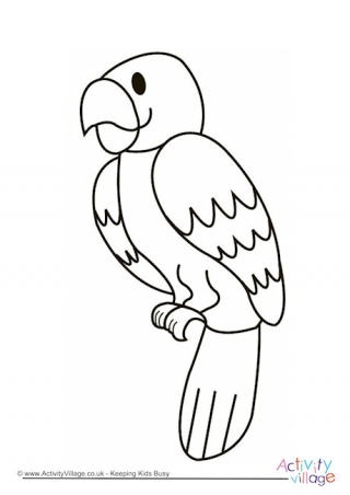 Parrot Colouring Page