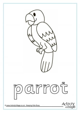 Parrot finger tracing