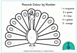 Peacock Colour By Number
