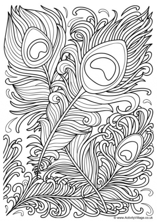 Peacock Feathers Colouring Page