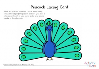 Peacock Lacing Card