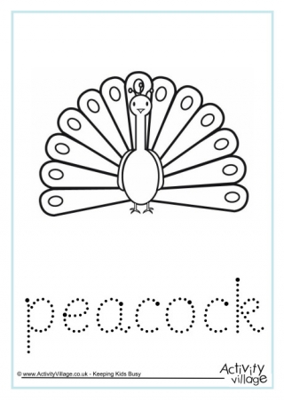 Peacock Word Tracing