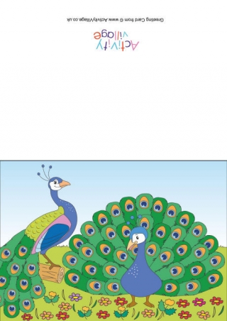 Peacocks Scene Card