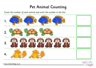 Pet Animal Counting 1