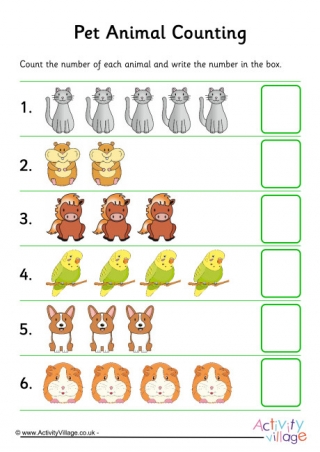 Pet Animal Counting 2