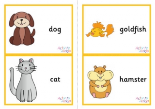 Pet Animal Flashcards Large