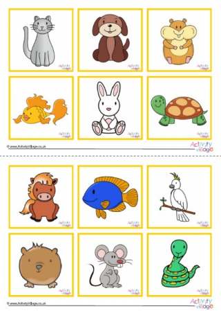 Pet Animal Game Cards