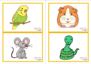 Pet Animal Picture Flashcards