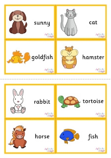 Pet Animal Vocabulary