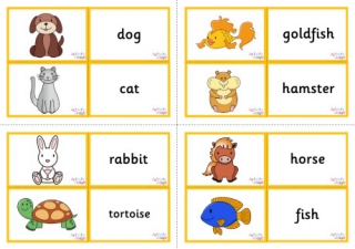 Pet Animal Vocabulary Matching Cards