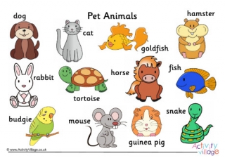 Pet Animal Word Mat